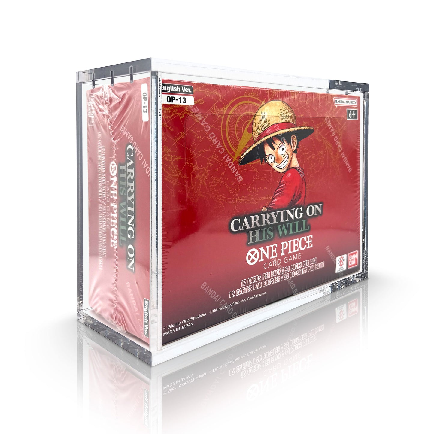 Teca in Plexiglass Box One Piece